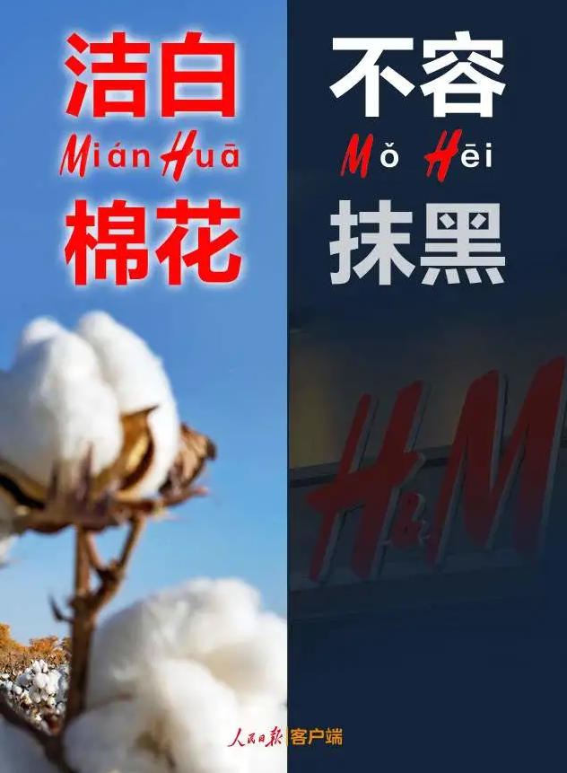 潔白棉花，不容抹黑，花榮華與華一起