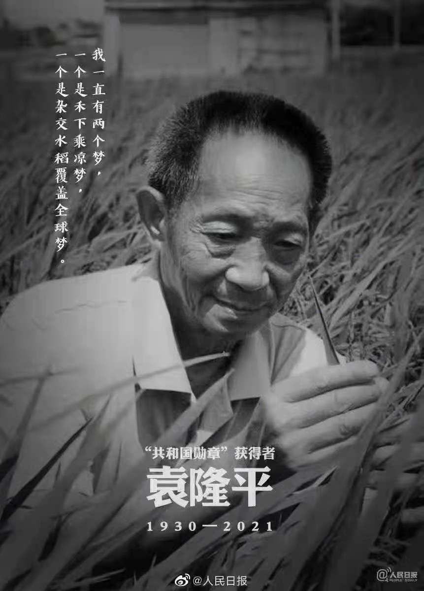 緬懷，國(guó)之脊梁——雜交水稻之父